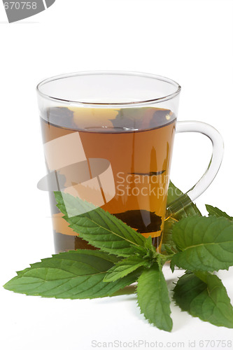 Image of Peppermint tea