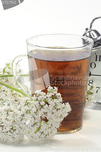 Image of Valerian tea