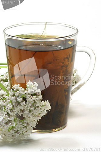 Image of Valerian tea