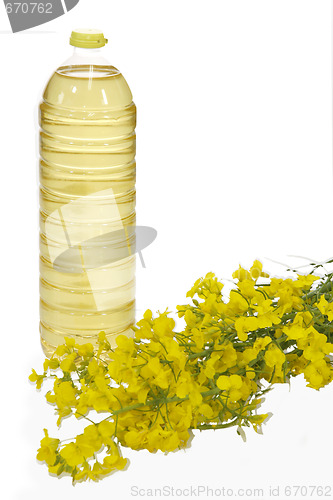Image of Colza oil
