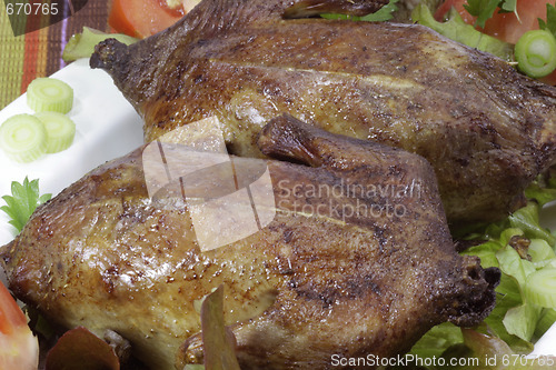 Image of Fried pigeon
