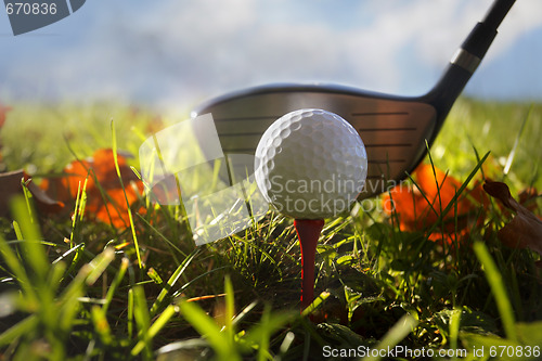 Image of Golf club and ball in grass