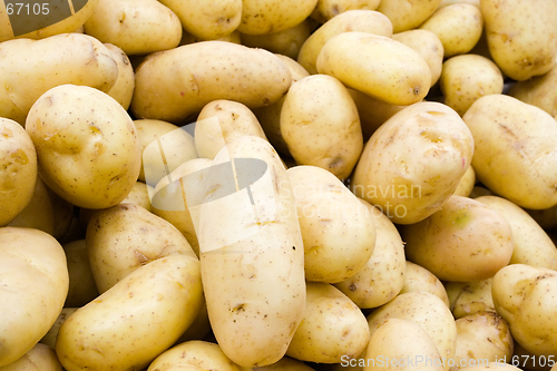 Image of Pile of Potatoes