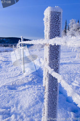 Image of FROZEN: fence