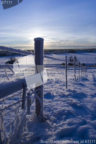 Image of FROZEN: fence 3