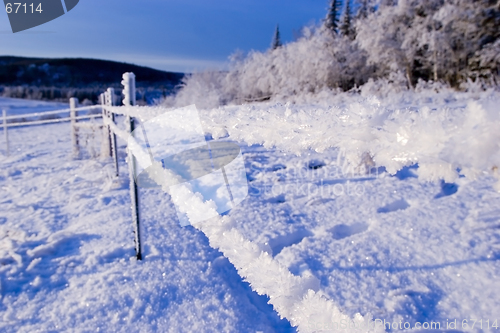 Image of FROZEN: fence 2