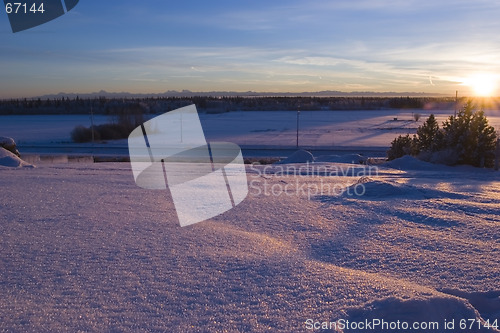 Image of FROZEN: field