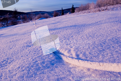 Image of FROZEN: snow diving cable 02