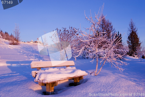 Image of FROZEN: bench