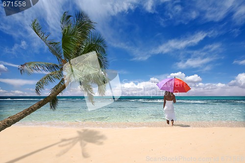 Image of Tropical Location With Palm Tree and Woman Holding Umbrella