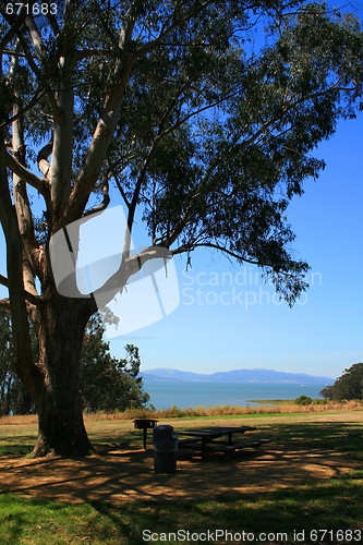 Image of Picnic Area