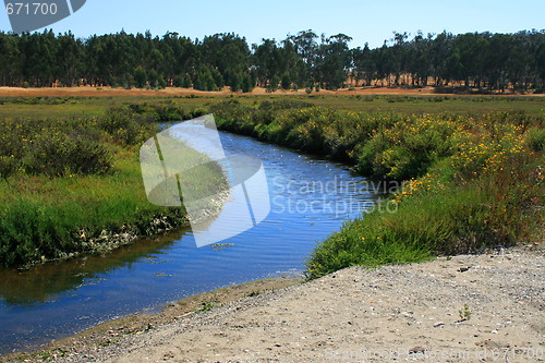 Image of River