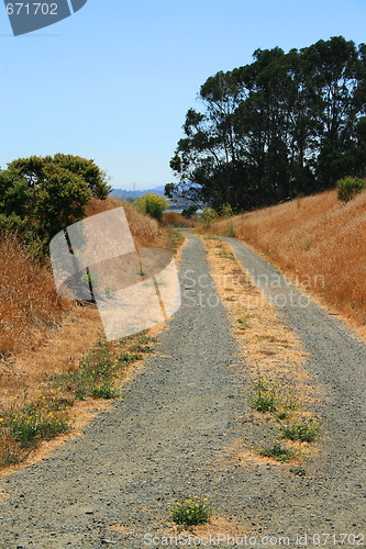 Image of Trail In A Park