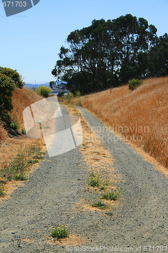 Image of Trail In A Park