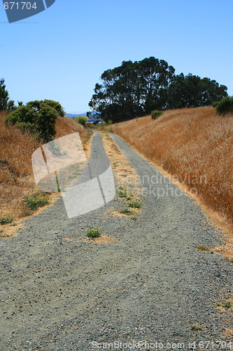 Image of Trail In A Park