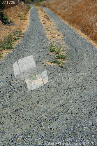 Image of Trail In A Park