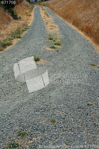 Image of Trail In A Park