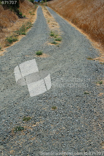 Image of Trail In A Park