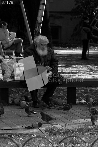 Image of Old man with pigeons