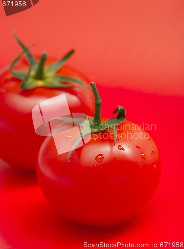 Image of Tomato