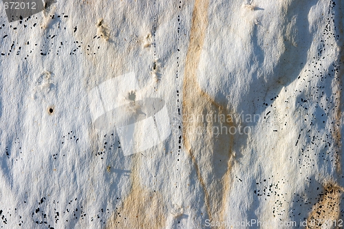 Image of Paper