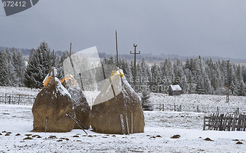 Image of Rural landscape in winter