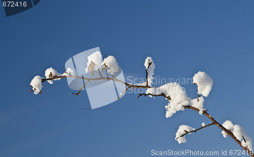 Image of Winter abstract