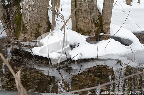 Image of Canadian Winter Thaw