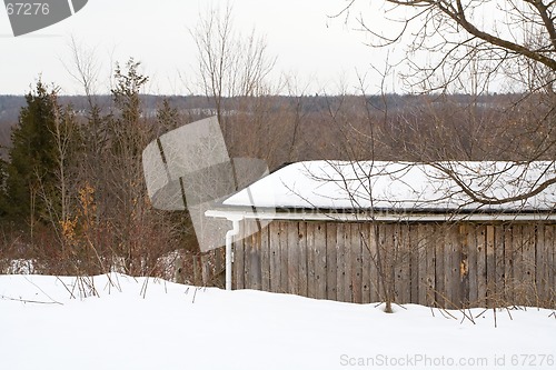 Image of Gray Canadian Winter