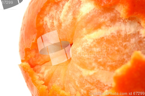 Image of tangerine horizontal