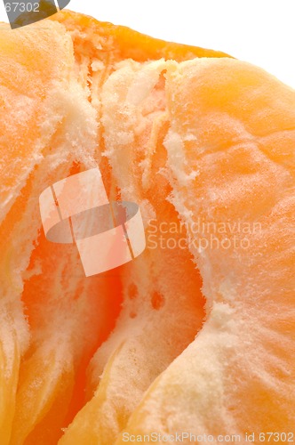 Image of tangerine 4