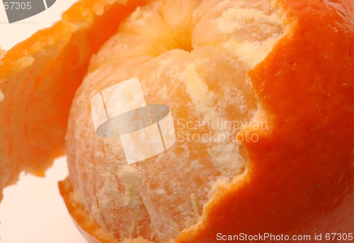 Image of tangerine 2