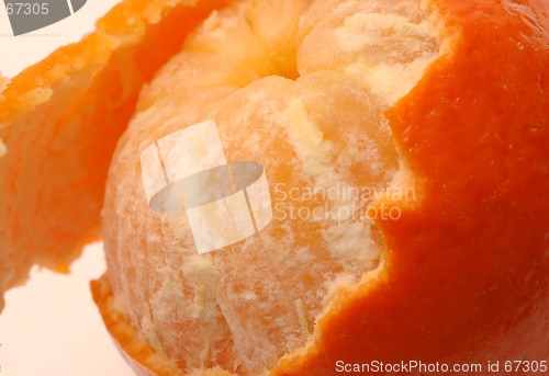 Image of tangerine 2