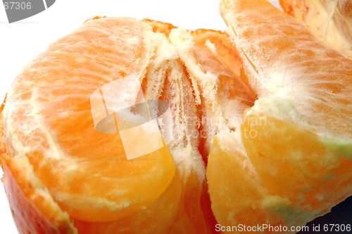 Image of tangerine 1