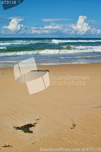 Image of beautiful sandy beach