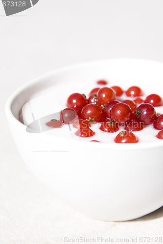 Image of yogurt and red currant