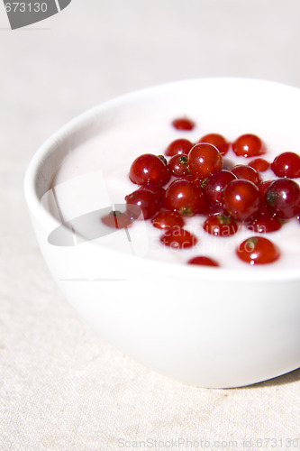 Image of yogurt and red currant