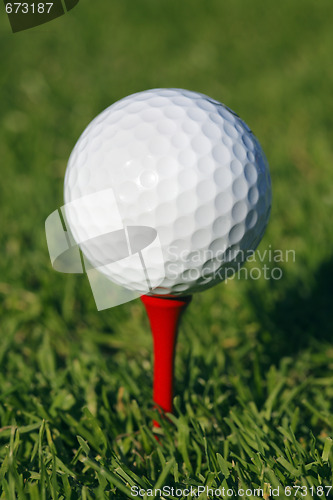 Image of Golf ball in grass