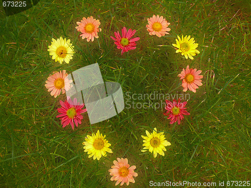 Image of flowers heart on the grass