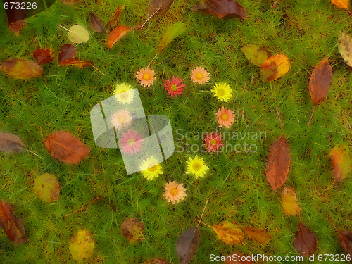 Image of heart shaped flowers