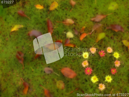 Image of flowers heart on the grass