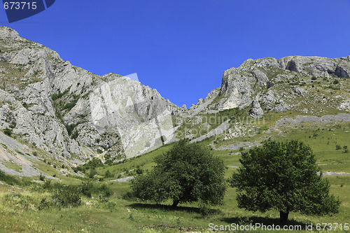 Image of Landscape in Trascau Mountains