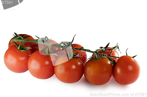 Image of Tomatoes isolated on white with clipping path