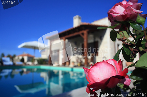 Image of Roses and luxury villa