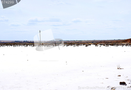 Image of salty lake Baskunchak,Russia