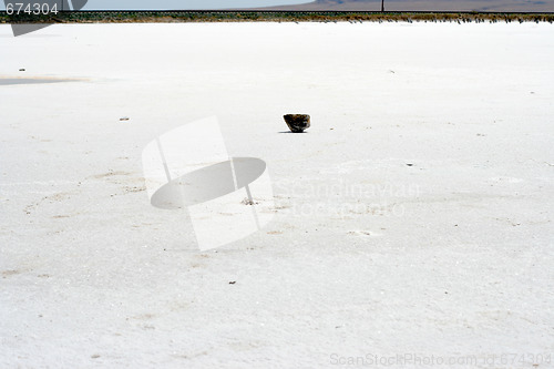 Image of salty lake Baskunchak,Russia