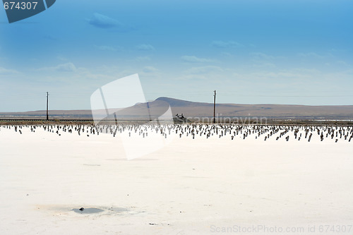 Image of salty lake Baskunchak,Russia