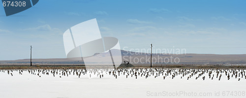 Image of salty lake Baskunchak,Russia