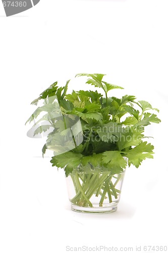 Image of green herbs