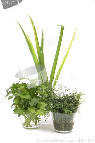 Image of green grocery